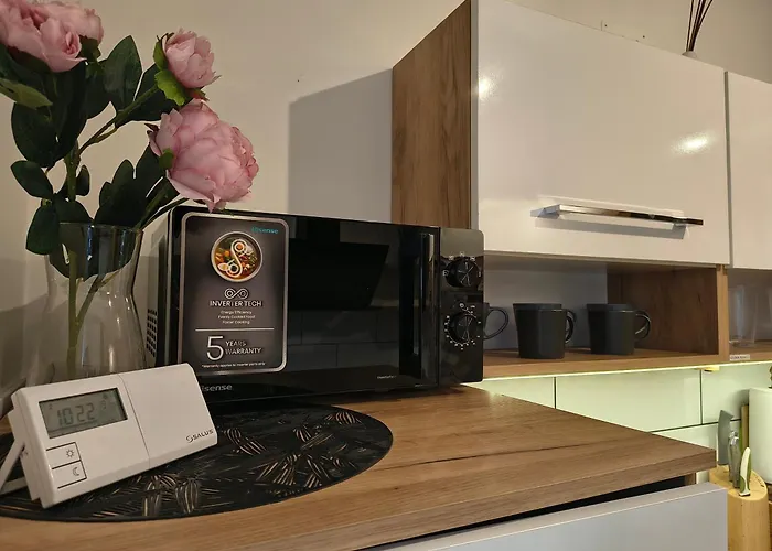 House - Centrum Tatil Evi *